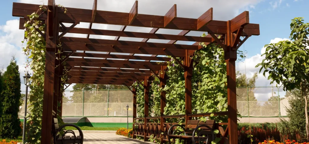 pergolla